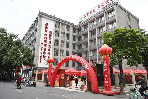 一縣一周·特產(chǎn)惠農(nóng) 漳州供銷迎新年農(nóng)產(chǎn)品展示展銷會(huì)在榕圓滿舉辦